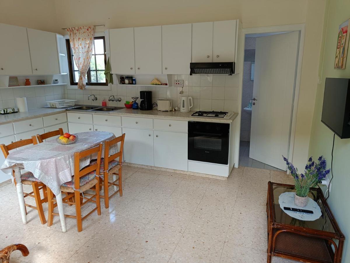 The Grapevine Guest House Pafos Zewnętrze zdjęcie